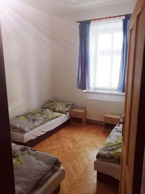 Penzion U Trojice Červená Voda Exterior foto